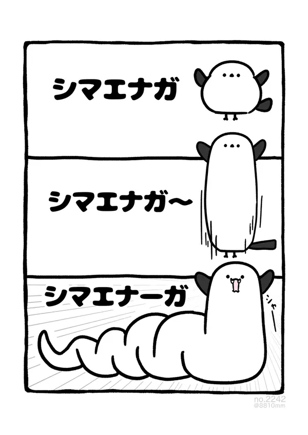 #8 no.2242 『 シマエナーガ 』