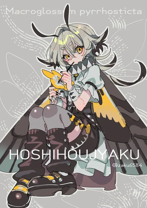 #17 ホシホウジャク